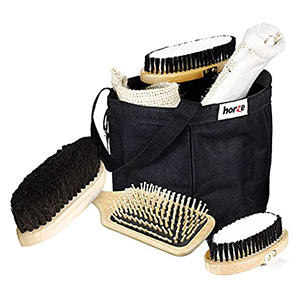 Horse Grooming and Bathing